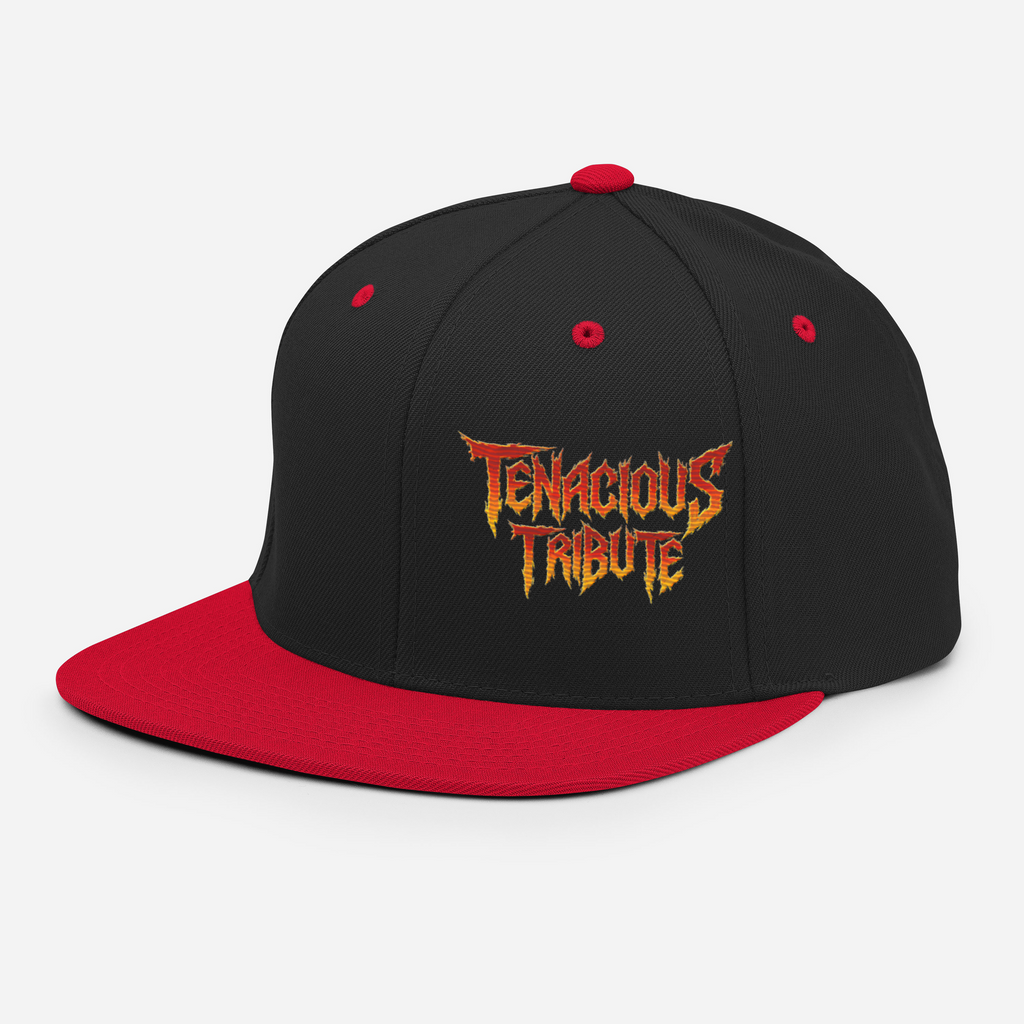 Tenacious Tribute Snapback Hat charcoal back product image.
