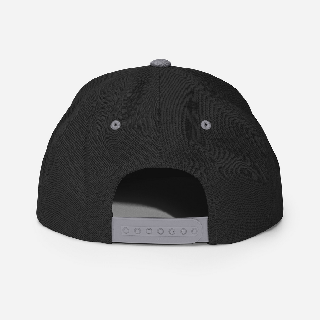 Tenacious Tribute Snapback Hat black-silver back view.