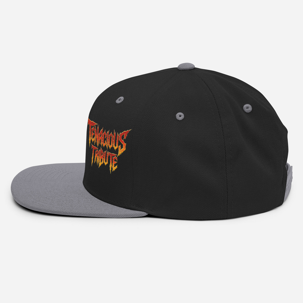 Tenacious Tribute Snapback Hat black-silver left side view.