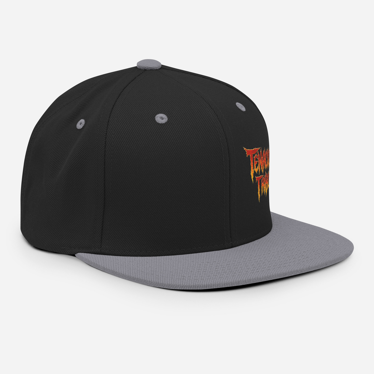 Tenacious Tribute Snapback-Cap – Schwarz/Silber rechts vorne