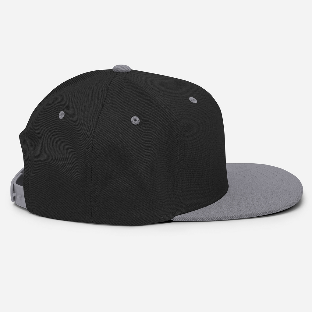 Tenacious Tribute Snapback Hat black-silver right side view.