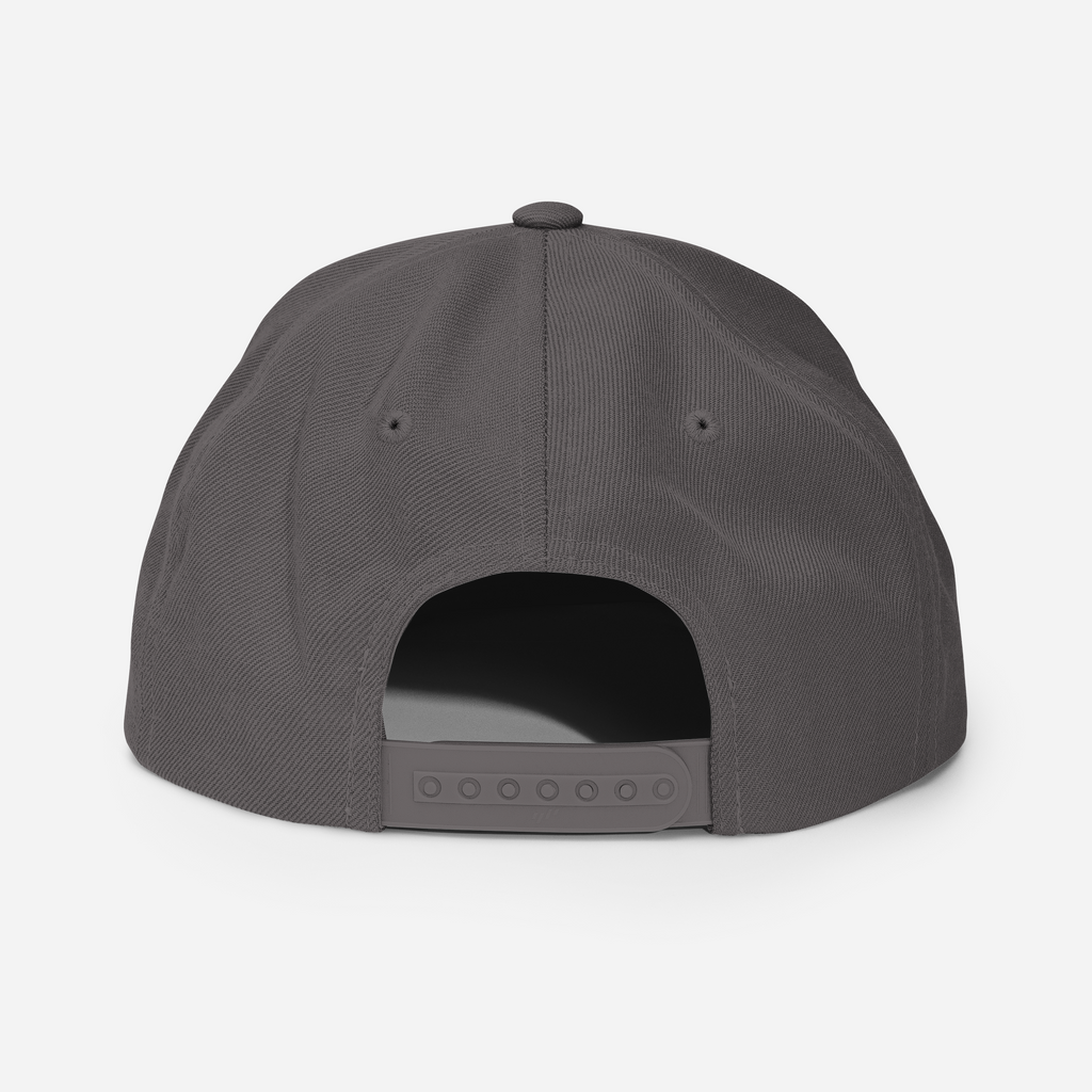 Tenacious Tribute Snapback Hat dark-grey back view.