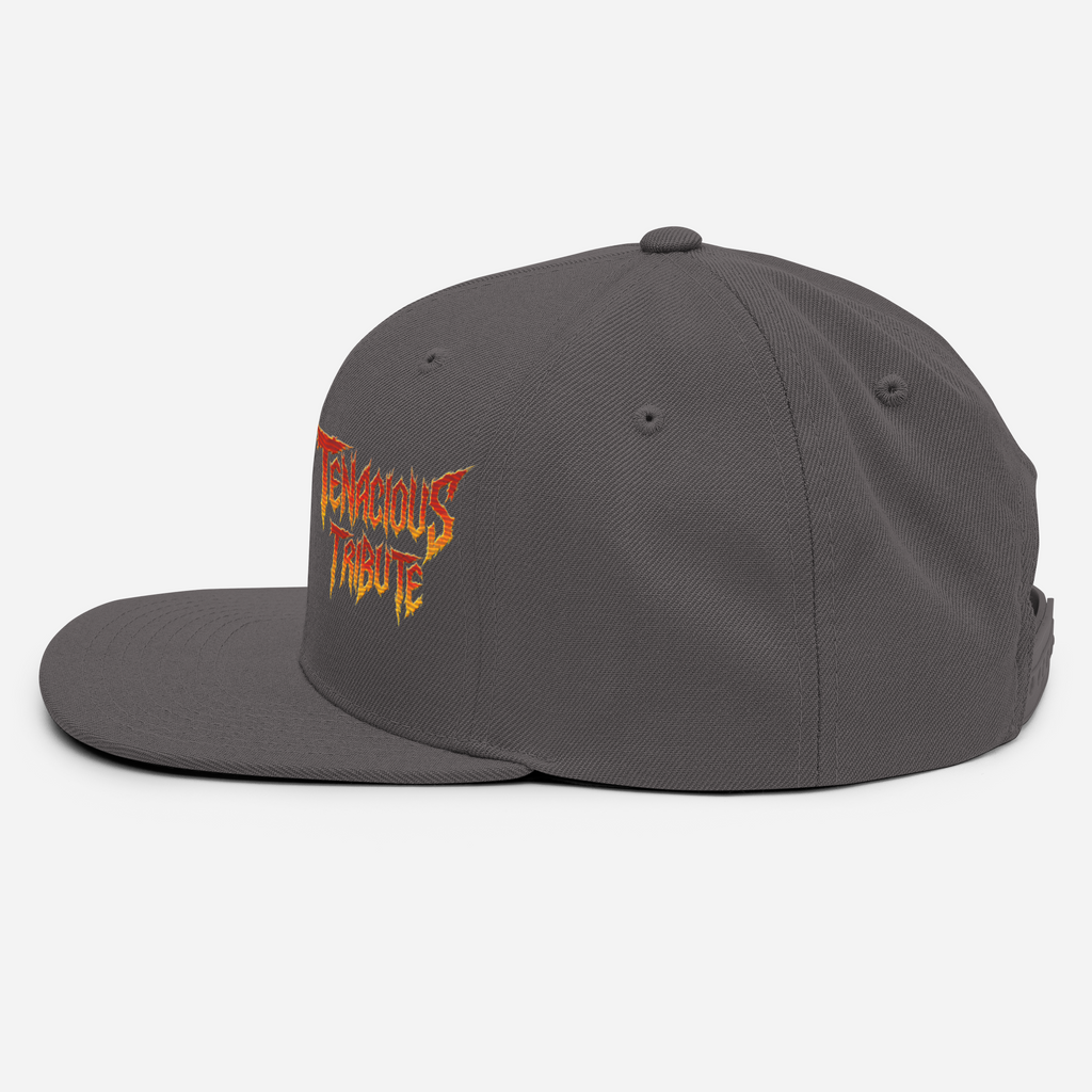 Tenacious Tribute Snapback Hat dark-grey left side view.