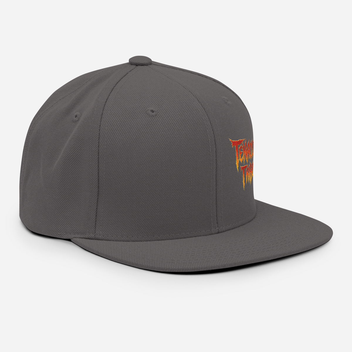 Tenacious Tribute Snapback-Cap – Dunkelgrau rechts vorne