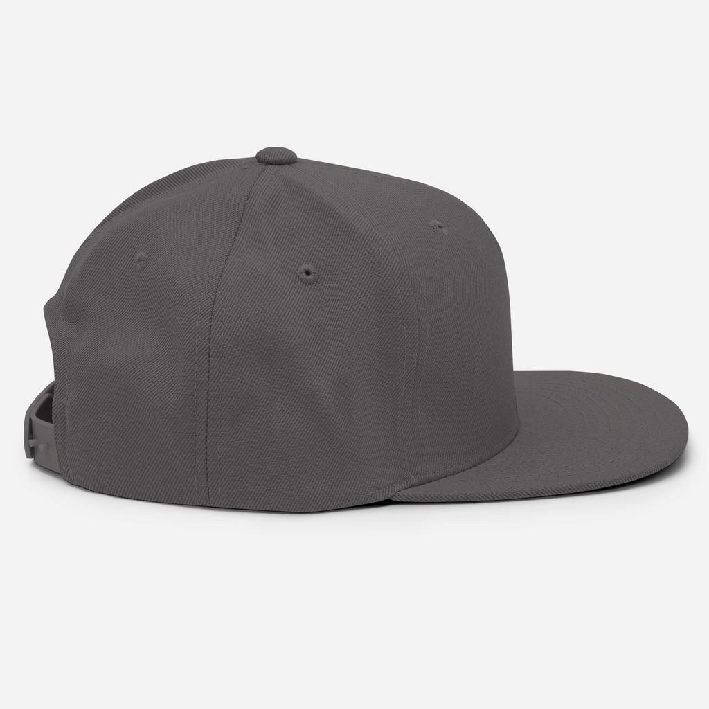 Tenacious Tribute Snapback Hat dark-grey right side view.